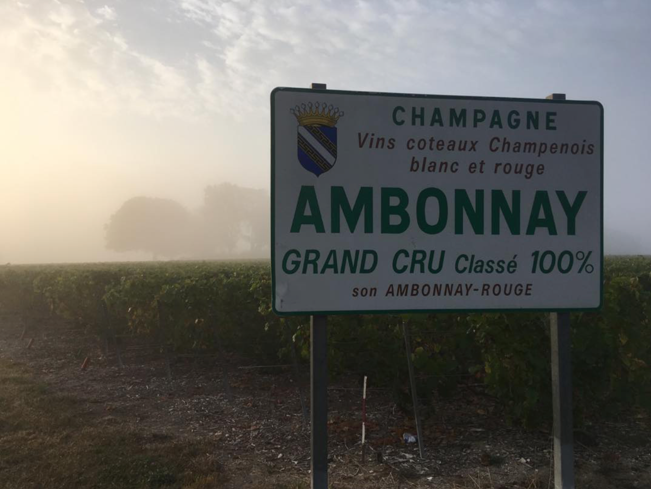 Champagne Blanc de Blancs Brut Grand Cru