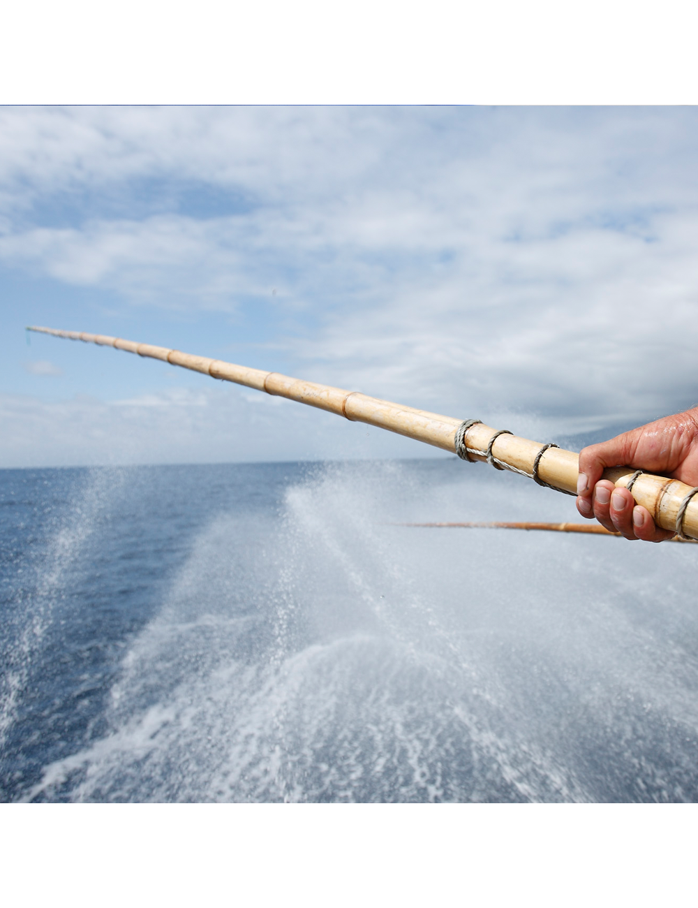 Mestre Saúl Filetti di tonno stagionato in olio di oliva 250 g
