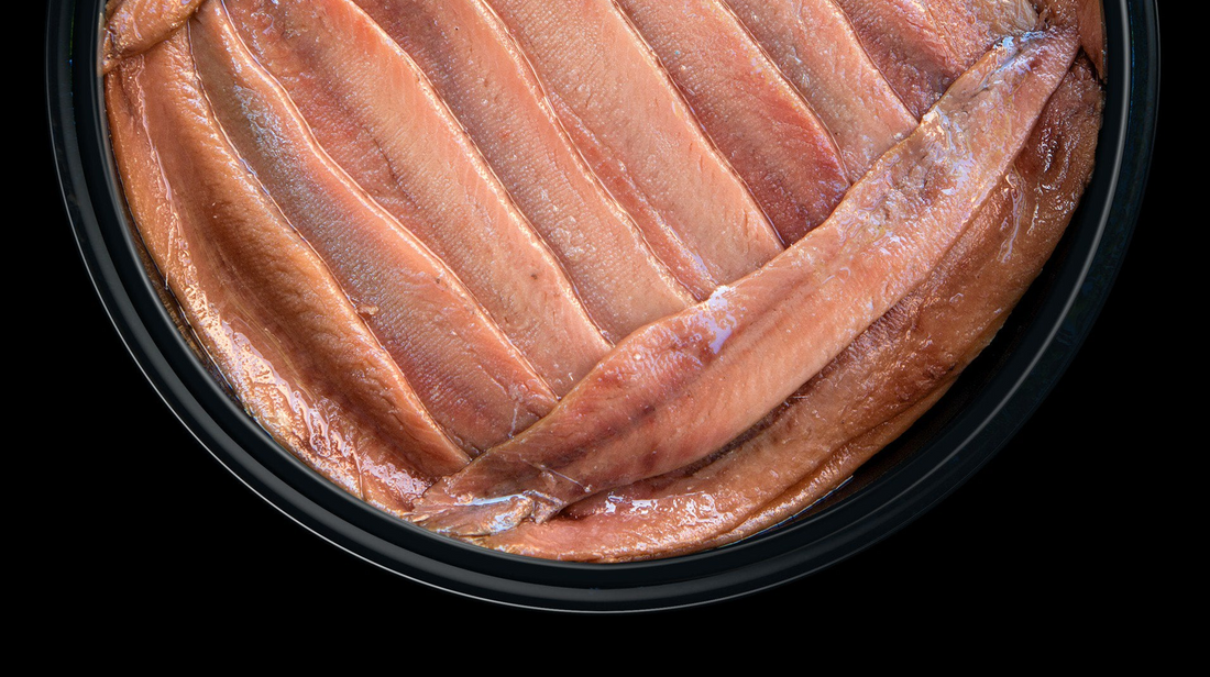 Acciughe del Cantabrico: olio di oliva o olio di girasole? Differenze economiche, aromatiche, conservazione e quale scegliere